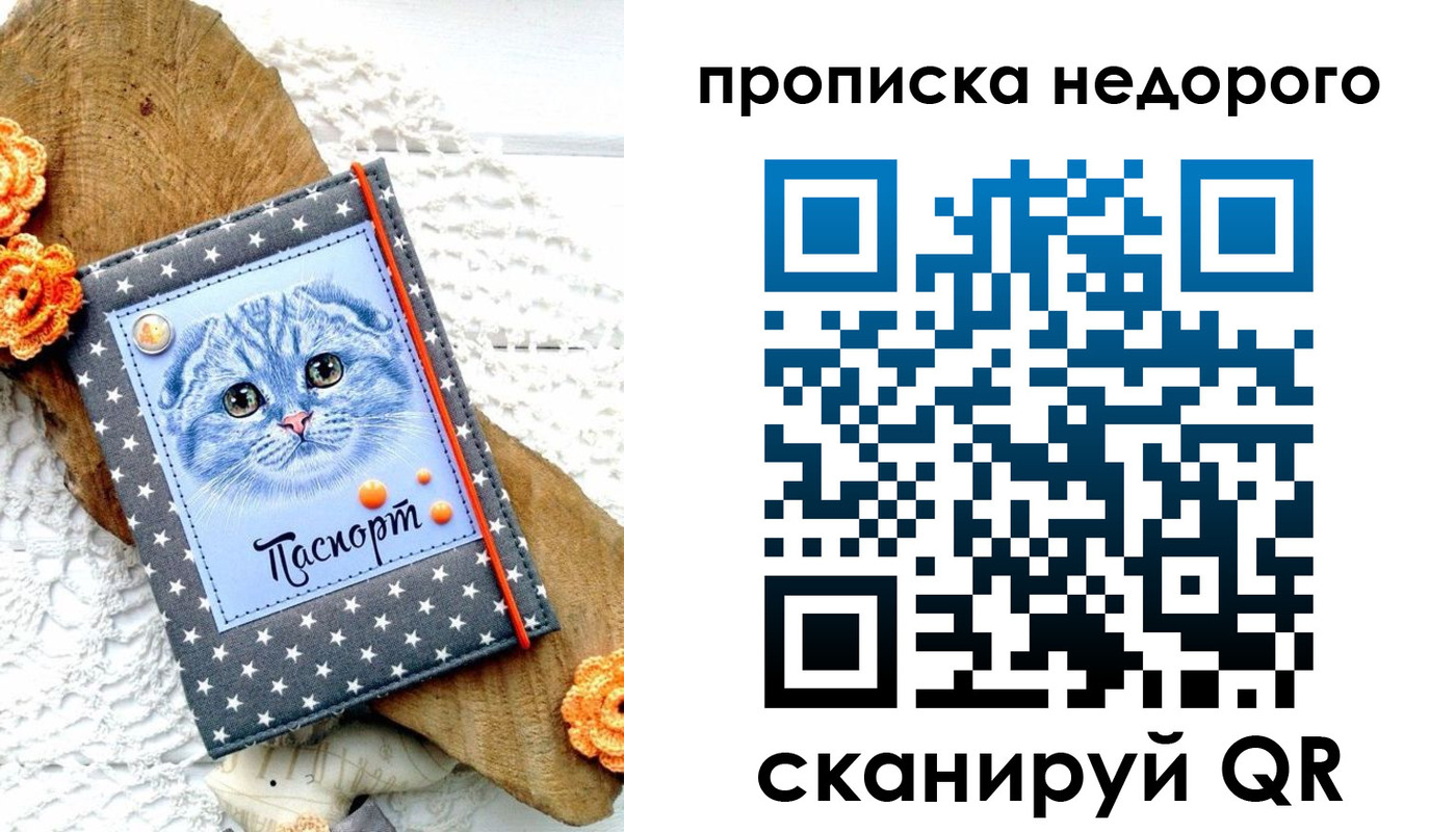 временная регистрация надежно в Волгоградской области